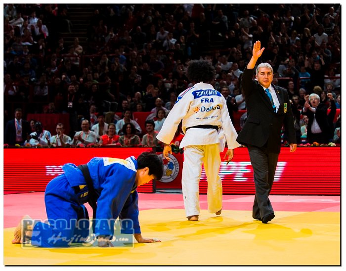 Paris 2014 by P.Lozano cat -78 kg_PLM5296